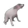 🐶