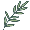 🌿