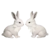 🐇