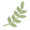 🌿