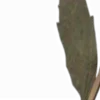 🤴