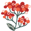 🌹