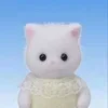 🐈