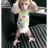 😱