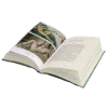 📖
