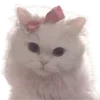 🐈