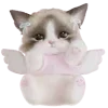 🐈
