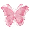 🦋