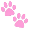🐾