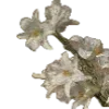 💐
