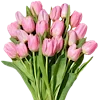 🌷