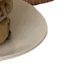 🍪