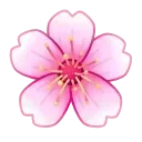 🌸