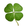 🍀