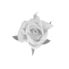 🌹