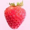 🍓