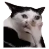 🫢