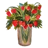🍓