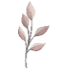 🌿