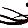🤩
