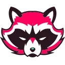 🦝