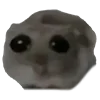 🥹