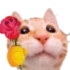 🌹