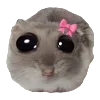 🥺