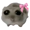 🎀