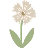 🌼