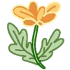 🌼