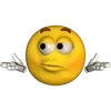 🌟