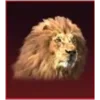 🦁