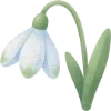 🌷