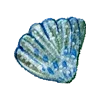 🐚