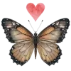 🦋