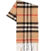 🧣