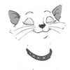 🐱
