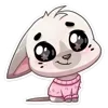 🐰