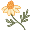 🌼