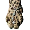 🐆