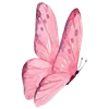 🦋
