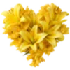 💛