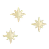 🌟