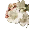 💐