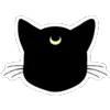 🐱