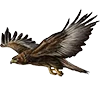 🦅