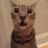 😮