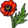 💐