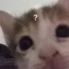 ❓